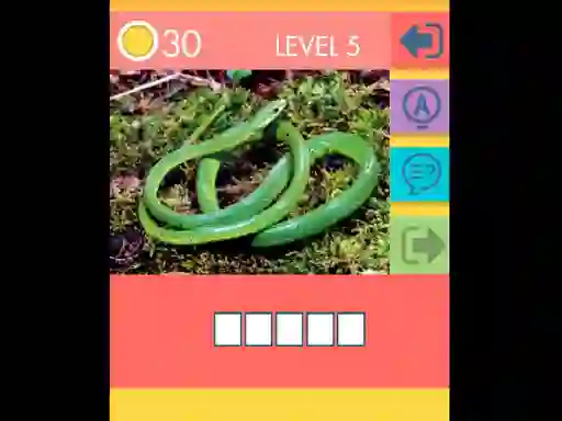 Žaidimas 15 Picture Quiz internete