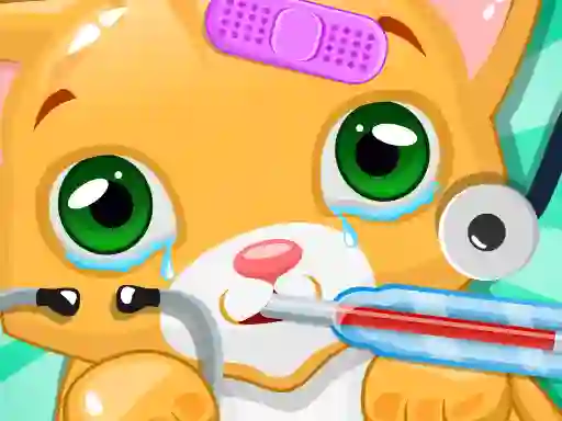 Žaidimas Kitty Doctor internete