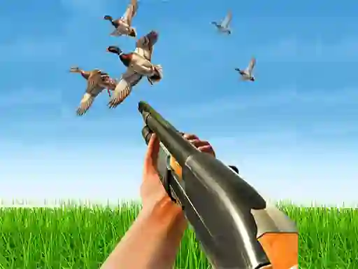 Žaidimas Bird Hunting internete
