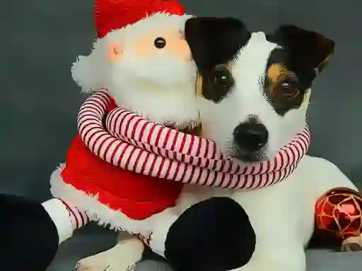 Žaidimas Funny Christmas Dogs internete
