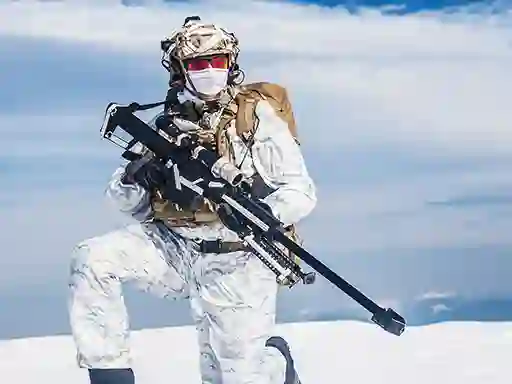 Žaidimas Snow Sniper internete
