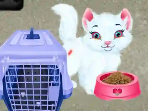 Žaidimas Baby Taylor Pet Care internete