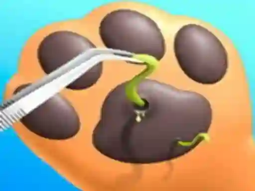 Žaidimas Pet Care internete