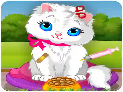 Žaidimas Vet Cat Clinic internete