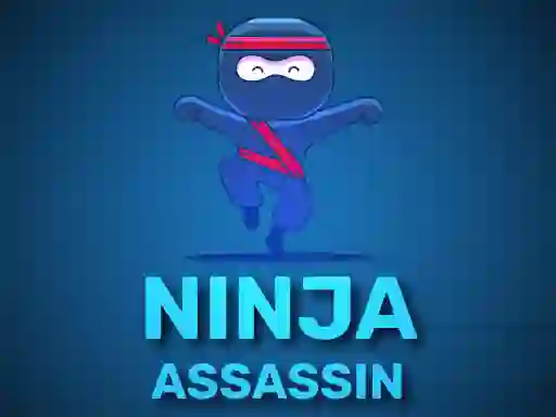 Žaidimas Ninja Assassin internete