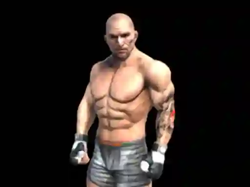Žaidimas Fight Arena Online internete