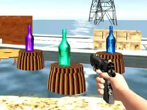 Žaidimas Bottle Shooter games internete
