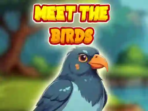 Žaidimas Meet The Birds internete