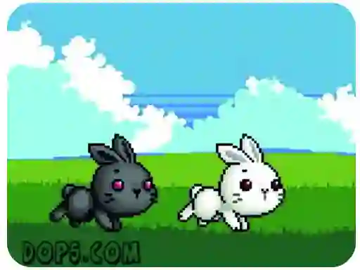 Žaidimas Cute Rabbit internete