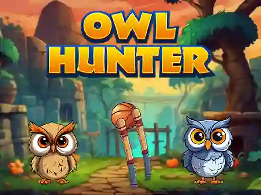 Žaidimas Owl Hunter internete