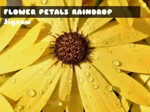 Žaidimas Flower Petals Raindrop Jigsaw internete