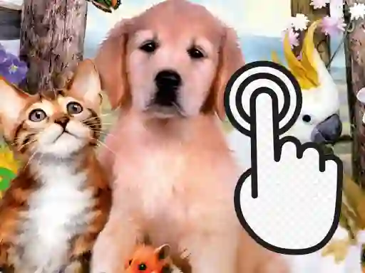 Žaidimas Pets Clicker internete