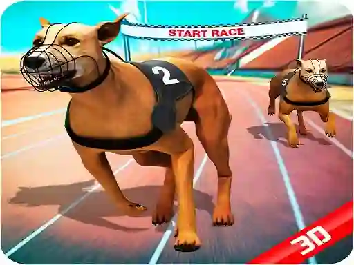 Žaidimas Crazy Dog Race internete