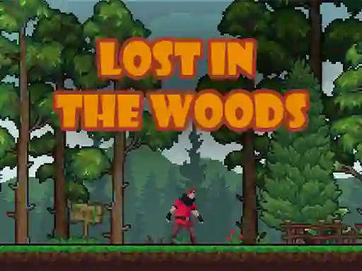 Žaidimas Lost in the Woods internete