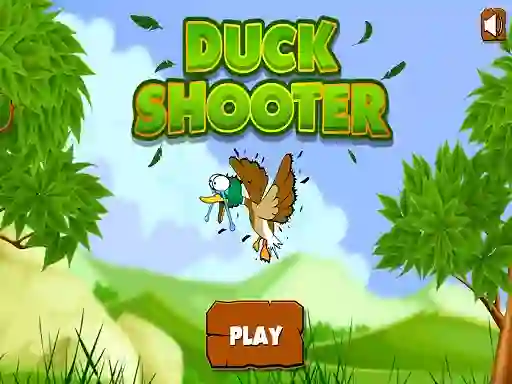 Žaidimas Duck Shooter internete