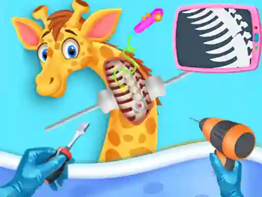 Žaidimas My Pet Vet Hospital internete