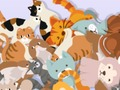 Žaidimas Rasti Kitty  internete