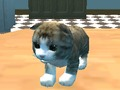 Žaidimas „Cat Simulator“: „Kitty Craft“! internete