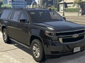 Žaidimas "Chevrolet"priemiesčių skirtumai  internete
