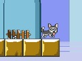 Žaidimas Ponas Jump Husky  internete