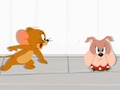 Žaidimas Tomo ir Jerry'o šou: sūrio paleisti  internete