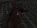 Žaidimas Nacių zombių armija  internete