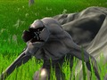 Žaidimas Monster Defense  internete