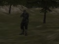 Žaidimas FPS agentūra: miškas  internete