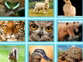 Žaidimas EG Pic Viktorina  internete