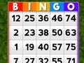 Žaidimas Bingo internete