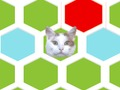 Žaidimas Spąstai Kat  internete