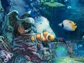 Žaidimas Sunken auksas  internete