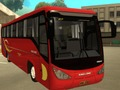 Žaidimas Autobusų skirtumai  internete
