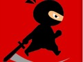 Žaidimas Ponas Ninja kovotojas  internete