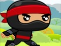 Žaidimas Ninja internete