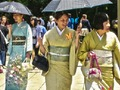 Žaidimas 100 drugelių Japonijoje  internete