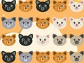 Žaidimas „Cute Kitty“ 3 rungtynės  internete