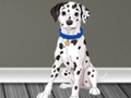 Žaidimas Veterinarijos gydytojo pabėgimas 2  internete
