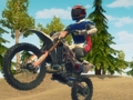 Žaidimas „Dirt Bike Enduro Racing“  internete