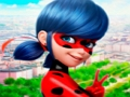 Žaidimas Dėlionės kolekcija „LadyBug“  internete