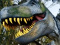 Žaidimas Dinozaurų karaliaus galvosūkis  internete