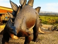 Žaidimas „Stegosaurus“ dinozaurų dėlionė  internete