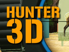 Žaidimas Medžiotojas 3D  internete