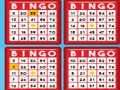 Žaidimas Bingo Bashas internete