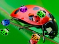 Žaidimas „Ladybug Match3“ internete