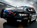 Žaidimas Policijos automobilių dažymas  internete
