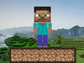 Žaidimas Minecraft išgyvenimas  internete