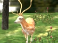 Žaidimas „Animal Safari Hunter 2020“  internete