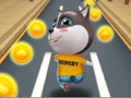 Žaidimas Naminių gyvūnėlių bėgikas  internete