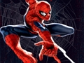 Žaidimas Spidermano spalvos kritimas  internete